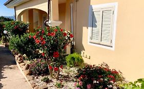 Casa Dolce Hibiscus